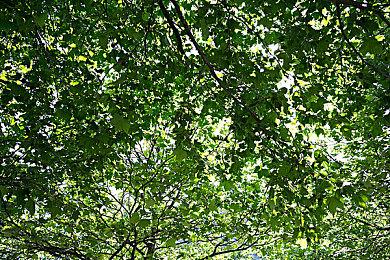 《纸嫁衣4》官宣延期 8月12日中元节正式上线